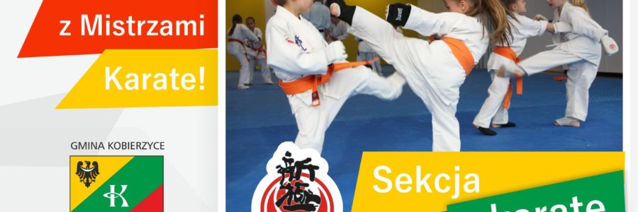 Dołącz do Mistrzowskiego Team’u KOSiR Karate Shinkyokushin!