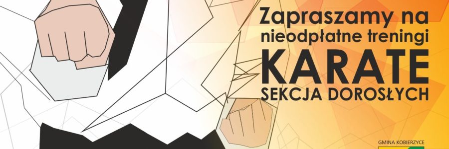 Karate shinkyokushin- sekcja dorosłych w Bielanach Wrocławskich/Ślęzie