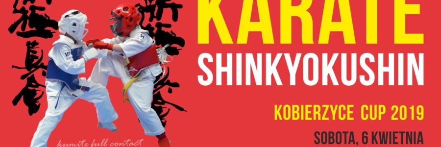 IX Edycja Międzynarodowego Turnieju Karate Shinkyokushin Kobierzyce Cup