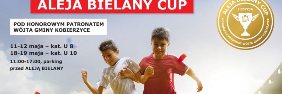 Turniej piłkarski Aleja Bielany Cup