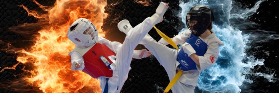 Międzynarodowe Zawody Karate Shinkyokushin