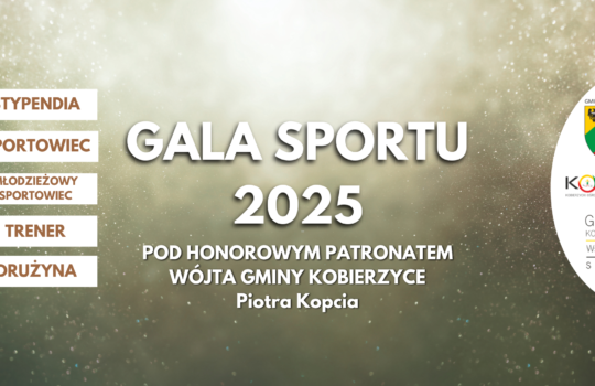 Plebiscyt Sportu Roku 2024